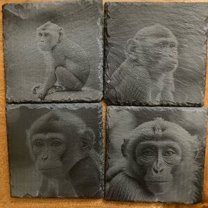 4 monkey slate coasters